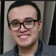 Profesor nativo de arabe espanol , especializado en dar clases online